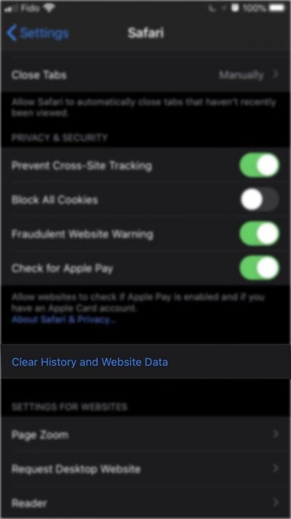 iPhone - Clear History and Website Data